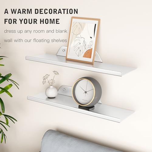 Floating Shelves for Wall, Off Center Metal Shelves for Living Room, Silver Floating Shelves for Wall Decor, 16” Hanging