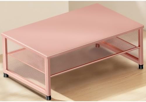 ECOLOVI 2-Tier Computer Monitor Stand Riser, Printer & Laptop Stand, Office Desk Accessories, Workspace Desk Organizer f