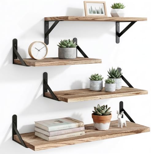YGEOMER 4 Different Sizes Floating Shelves for Wall Decor, Light Carbonized