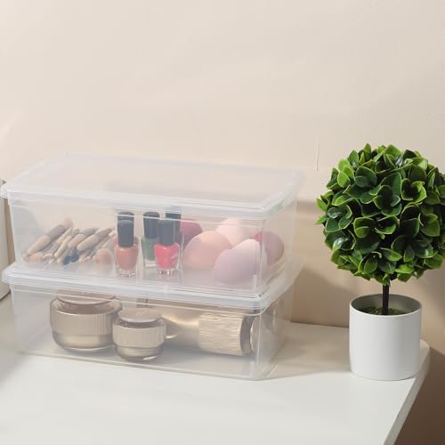 Clear Storage Bins with Lids Shoe Boxes 12 Packs Plastic Storage Containers