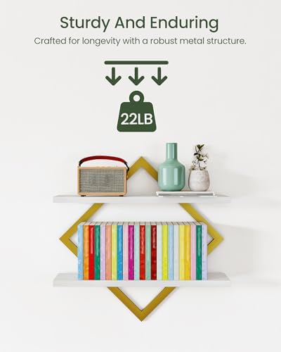 CHOEZON Floating Shelves for Wall, Set of 2 Wall Mounted Shelves, 2-Tier Hanging Shelves, for Living Room, Bedroom, Kitc