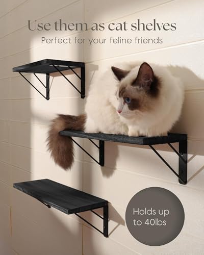 BAYKA Wall Mounted Floating Shelves, Wood Floating Wall Shelf for Books & Decor, Small Space-Saving Display & Organizer（