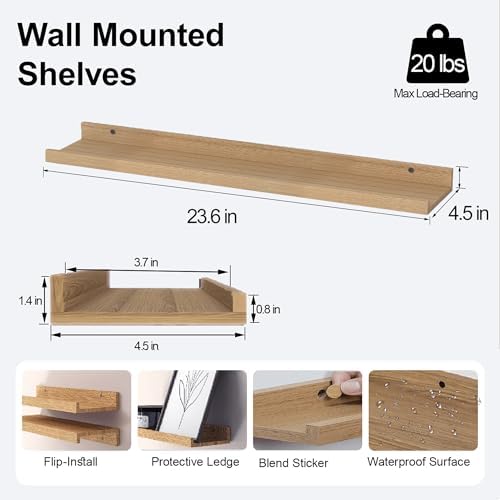 Oak Floating Shelves for Wall Decor, 24 in Shelf with Lip, 2 Set