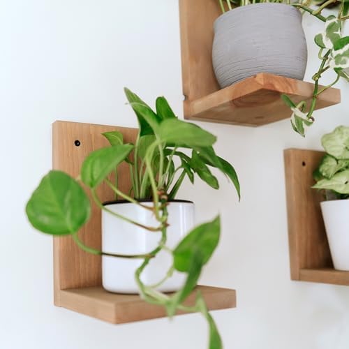 Daniel's Plants 3-Pack Mid-Century Modern L-Shaped Floating Shelves | Solid Wood Plant Ledge | Wall Mounted Shelf Kit (P