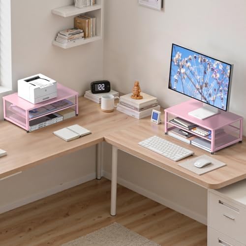 ECOLOVI 2-Tier Computer Monitor Stand Riser, Printer & Laptop Stand, Office Desk Accessories, Workspace Desk Organizer f