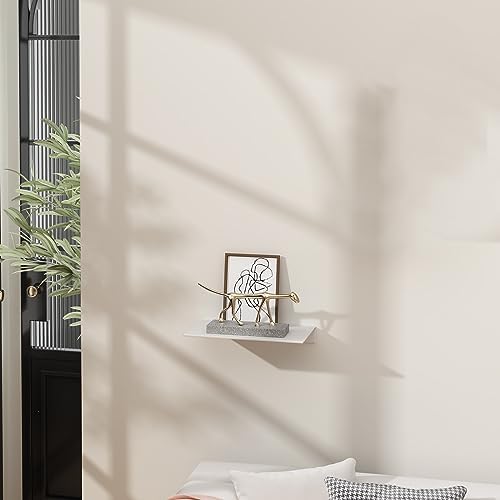 Danpoo 8 inch White Small Floating Shelf for Wall Organizer & Storage, Mini Display Shelf, Metal Wall Shelf for Bathroom