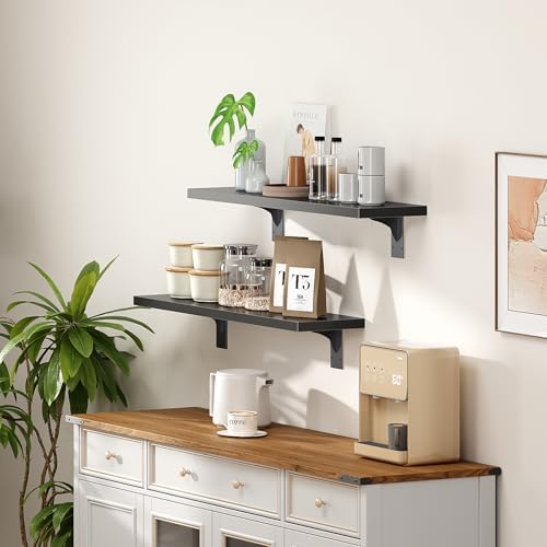 HOOBRO Floating Shelves for Wall, 23.6" Wall Mounted Shelves Set of 2