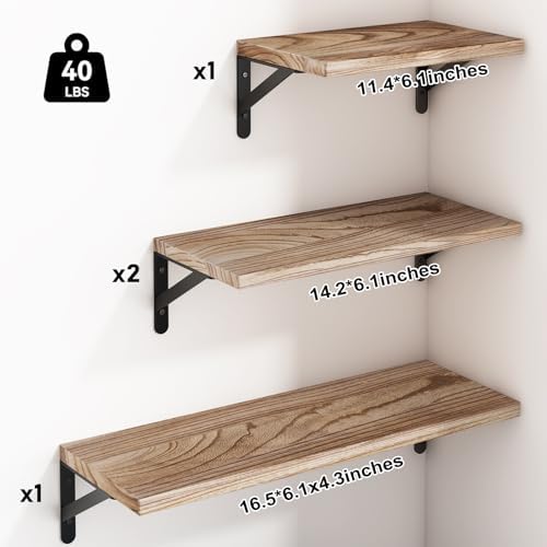 YGEOMER 4 Different Sizes Floating Shelves for Wall Decor, Light Brown