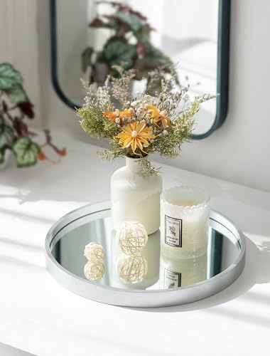Hanobe Vanity Trays for Bathroom Perfume Trays for Dresser Sliver