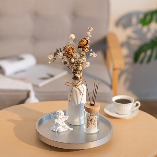 Hanobe Decorative Silver Lazy Susan Table Centerpieces Tray,12"