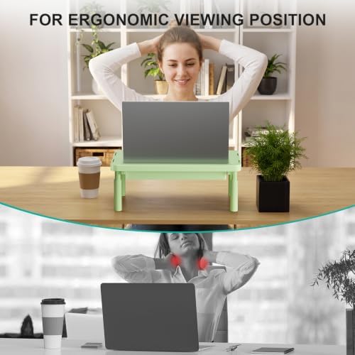 WALI 3 Height Adjustable Computer Monitor Stand with Storage, up to 44 lbs