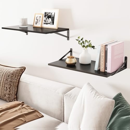 Fixwal 2pcs 10 in Deep Floating Shelves for Wall (Black, 23.6" L)