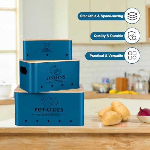 Kitchen Vegetable Storage Set of 3, Metal Onion Garlic Potato Storage Set, Kitchen Canisters Vegetable Keeper Containers