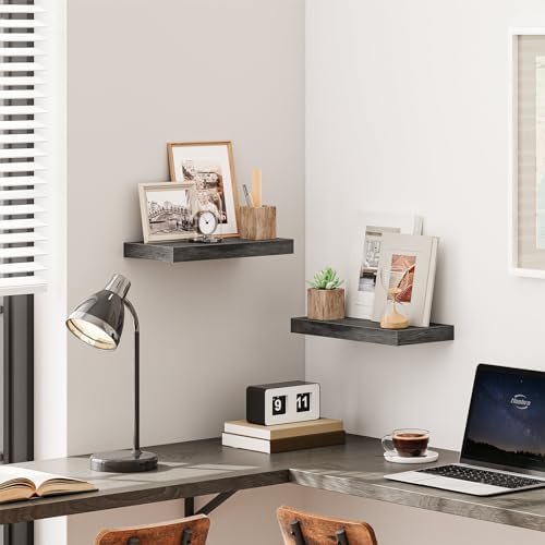 HOOBRO Floating Shelves for Wall, Wall Mounted Shelf Set of 2, 15.7" Hanging Shelf with Invisible Brackets, for Wall Dec