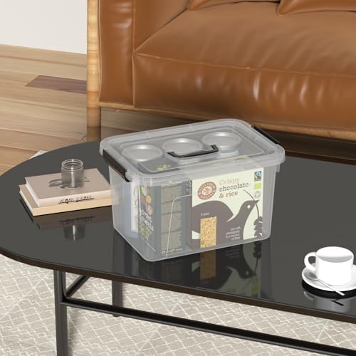 6 Pack 6 Quart Small Clear Plastic Storage Bins with Handles