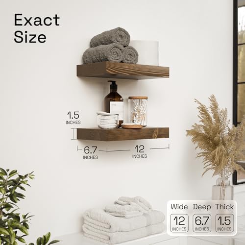Solid Wood Floating Shelves for Wall 12 Inch Walnut, Small Wooden Shelf
