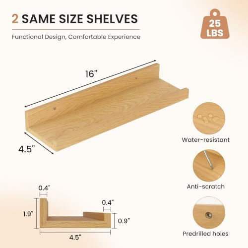 Dreamland Picture Ledge Shelf for Wall, Floating Shelves Set of 4,16 inch Long Floating Shelves with Lip for Living Room,Bedroom,Bathroom,Kitchen,Oak