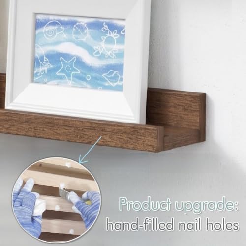 Walnut Brown 24 in Floating Shelves with Lip, Picture Ledge Shelf for Wall
