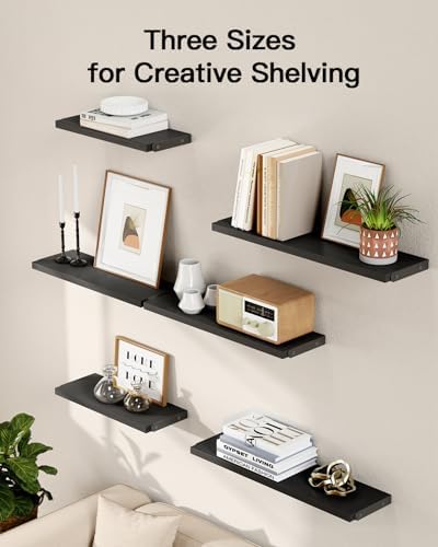 Amada Solid Paulownia Wood Wall Shelves, Medium Size, 6 Pcs, Black