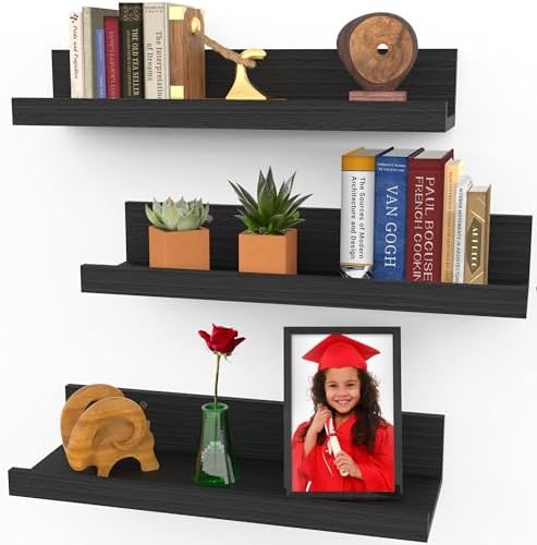 Icona Bay 16 Inch Floating Shelves for Wall - Set of 3 in Ebony Black - Modern Rustic Style - Wall Mounted Display Shelv