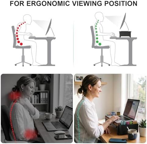 WALI Computer Monitor Stand with Storage and Pen Holder