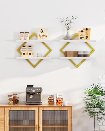 CHOEZON Floating Shelves for Wall, Set of 2 Wall Mounted Shelves, 2-Tier Hanging Shelves, for Living Room, Bedroom, Kitc