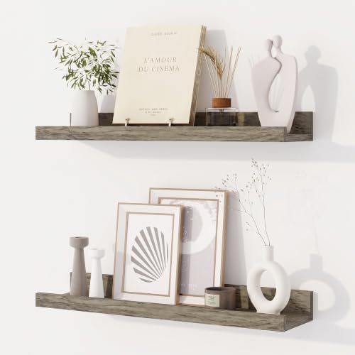 Dreamland Picture Ledge Shelf for Wall, Floating Shelves Set of 2,20 inch Long Floating Shelves with Lip for Living Room