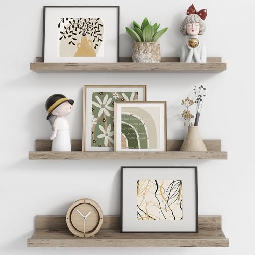 Axeman Picture Ledge Shelf, 24 Inch Grey Floating Shelves Set of 3