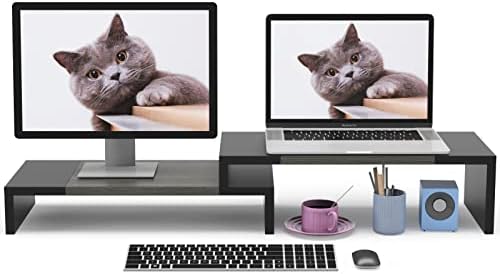 WESTREE Dual Monitor Stand Riser - 2 Shelf Computer Stand with Adjustable Length and Angle, Desktop Organizer for 2 Moni