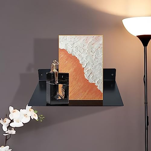 RealPlus Metal Floating Shelf Wall Mounted (12 inch x 8 inch) Heavy Duty Industrial Modern Steel Display Shelves, Black 