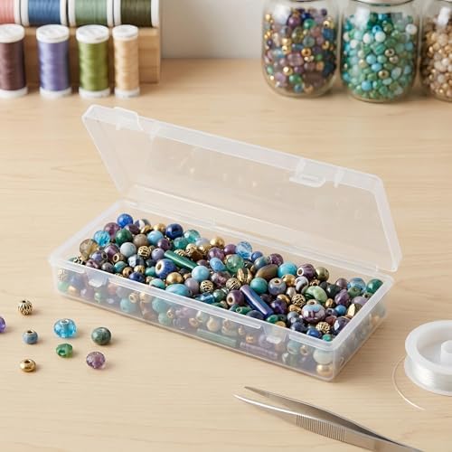LJY 10 Clear Rectangular Plastic Boxes, 6.1 x 2.6 x 1.2 in for Beads