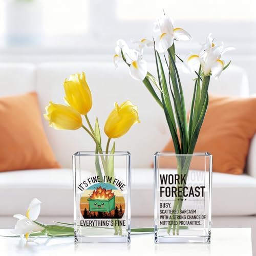 Everything's Fine Work Forecast Funny Acrylic Pencil Pen Holder Cup Set 2, Cute Pencil Holder Desk Organizer, Dumpster Fire Desk Accessories, Sarcastic Office Gifts for Women Men Coworkers