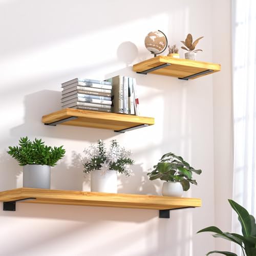 16 Pack - 10 inch Black Hidden L Shelf Bracket (1/5 Inch Thicked) Iron Floating Shelf Brackets Rustic Industrial Metal B