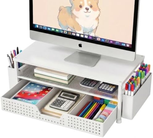 ECOLOVI Desk Organizer and Accessories, 2-Tier Computer Monitor Stand Rise with Storage Drawer & 2 Pen Holders, Laptop &