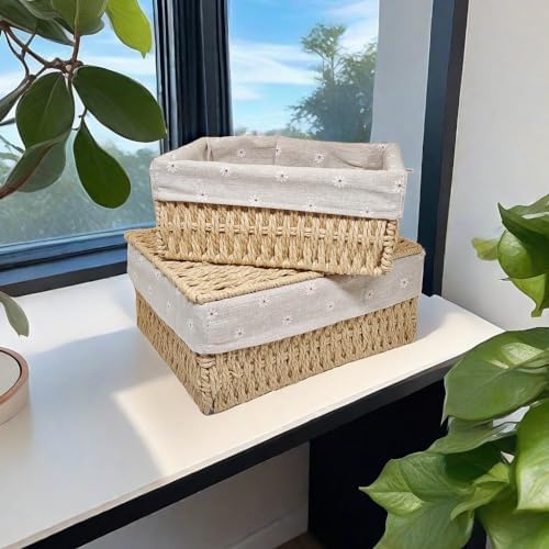 GIB Small Wicker Storage Baskets with Lid/Liner Woven Cute Decorative Boxes