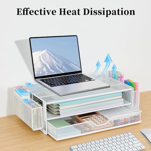 AUPSEN Computer Monitor Stands Riser，2-Tier Desk Organizers and Accessories, Office Desk Accessories Organizer with Draw