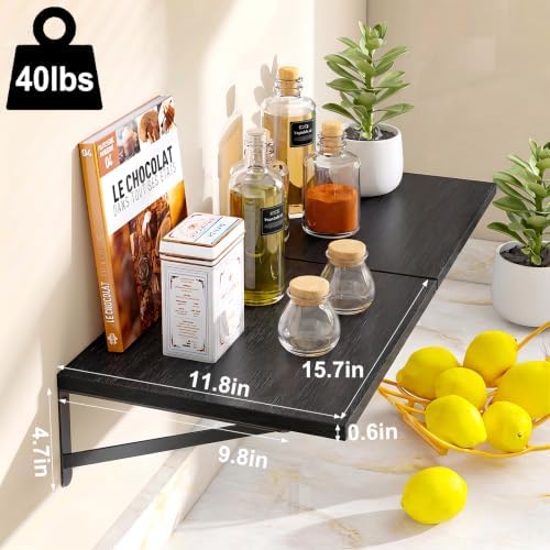 Fixwal 2pcs 11.8 in Deep Floating Shelves for Wall (Black, 15.7" L)