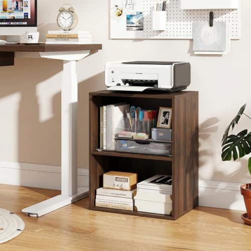 GIANTEX 2-Cube Bookshelf, 2-Layer Storage Shelf Bookcase