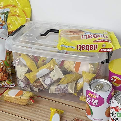 5 L Plastic Storage Bin with Lid, Transparent Organizing Box Set of 6