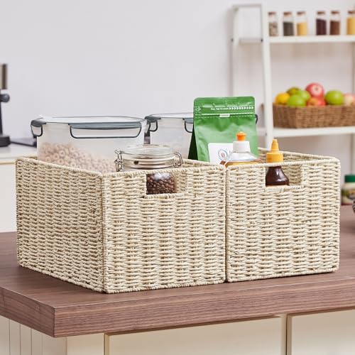 Vagusicc Wicker Storage Basket, Set of 2 Hand-Woven Paper Rope Wicker Basket, Small Storage Baskets for Organizing Toile
