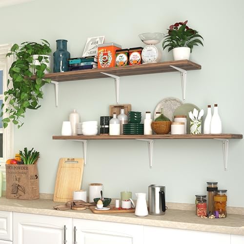 20 Pack Shelf Brackets 10 Inch, White Metal Brackets for Shelves, L Shape Shelving Brackets (White, 10" x 8")
