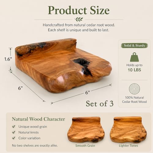 Small Floating Shelf for Wall Set of 3 Natural Cedar Wood 6 Inch Mini Wall Shelves Decor Plant Display Collectibles Moun