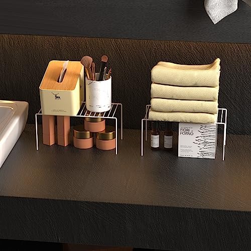 Redrubbit 6 Pack(10.6 x 5.1 Inch) Cabinet Storage Shelf Rack, Rustproof Kitchen Counter and Cabinet Shelf, Small Storage