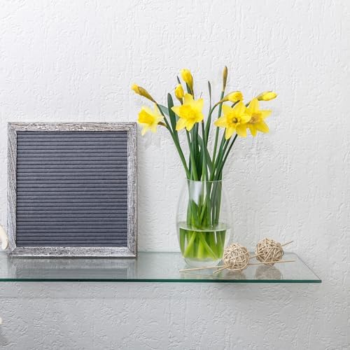 Dulles Glass 8" x 24" Floating Glass Shelf, 3/8" Thick Clear Tempered Glass, Flat Polished Edge, Shelf Only for Bathroom