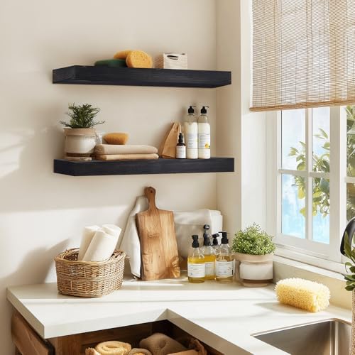 Floating Shelves, 24 Inch Wall Mounted Shelves, Set of 2, Black
