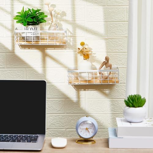 Funrous 2 Pcs Metal Small Wire Basket Wall Hanging Wire Basket Hang Small Bathroom Kitchen Storage Organizer Toilet Pape