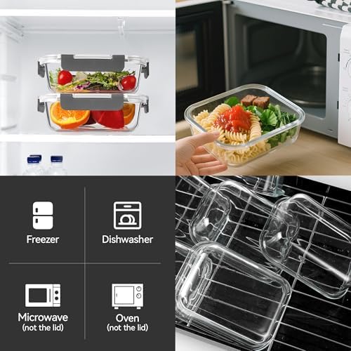 BAYZZ 10 Pack 22 oz Glass Meal Prep Containers, Glass Food Storage Containers with Airtight Lids, BPA-Free, Freezer and Microwave Safe