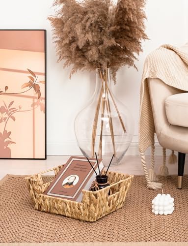 StorageWorks Pantry Baskets for Organizing, Storage Baskets, Water Hyacinth