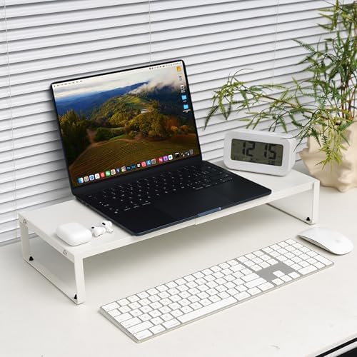 Adjustable Ergonomic Monitor Stand, Sturdy Metal Computer Riser
