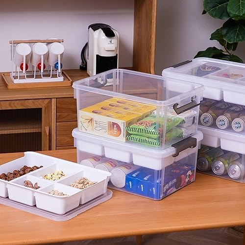 Citylife 17QT 4Packs Clear Craft Organizers and Storage Box with Tray